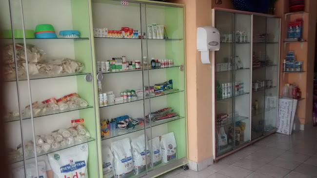 Clinica Veterinaria Palao Pets - San Martín de Porres