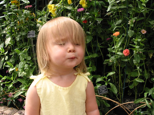 Celeste and the Butterflies