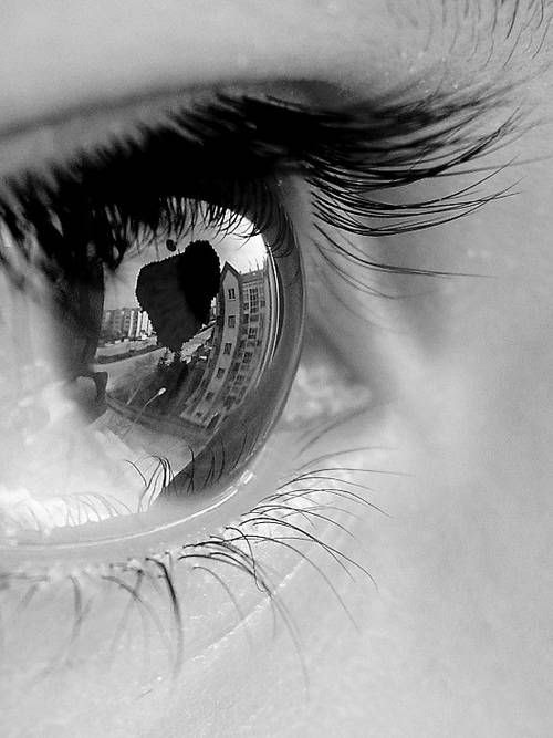 macro photography 19