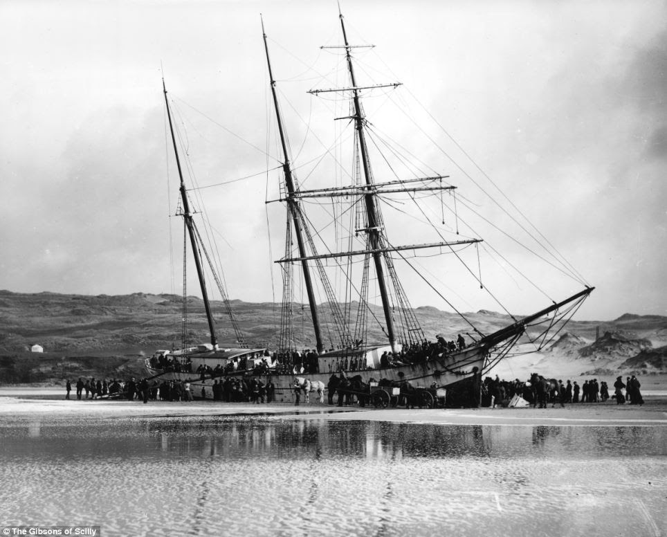 Crowded: The Dutch ship Voorspoed pictured surrounded by horses used to help take away the cargo. All of those on board died in the 1901 incident