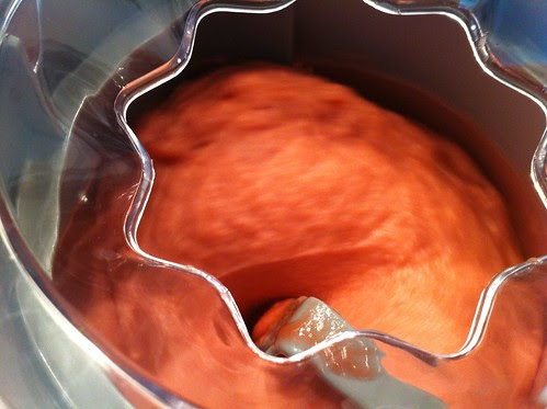 Rhubarb Sorbet Freezing in Ice Cream Maker