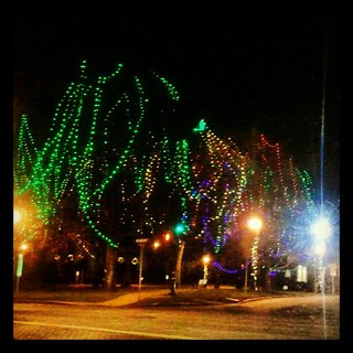 #christmaslights #Christmas #newengland #massachusetts #sopretty #colorful #trees