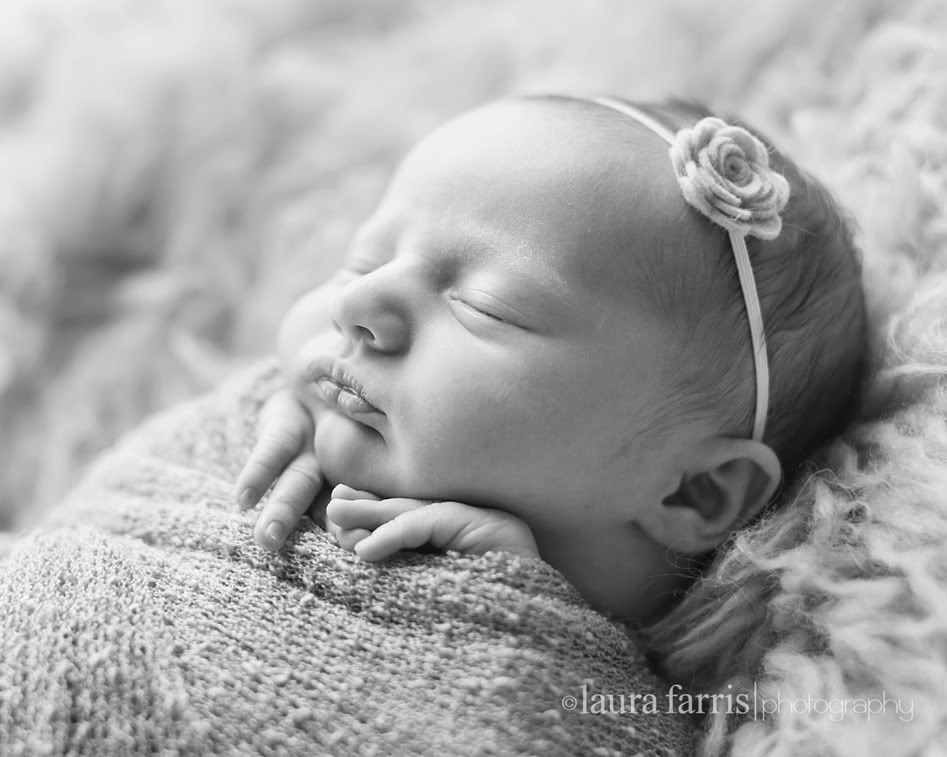 Boise newborn photographer
