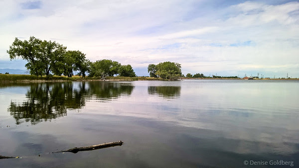 reflections in Ladora Lake, Rocky Mountain Arsenal National Wildlife Refuge