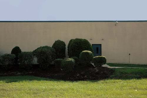CENSORED bushes in front of door tech school