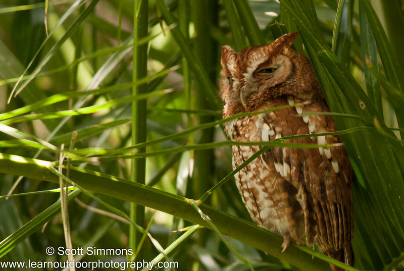Photo & Video Sharing by SmugMug Photo & Video Sharing by SmugMug