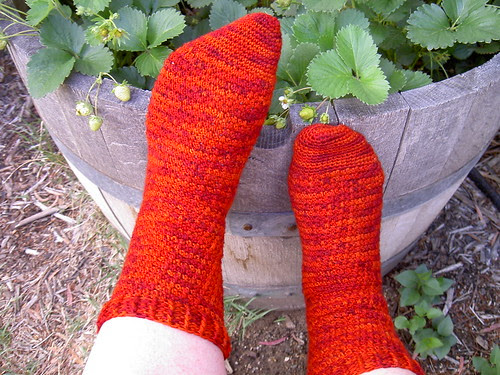 Red Socks
