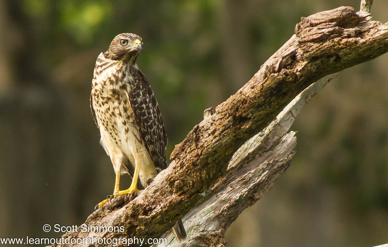 Photo & Video Sharing by SmugMug Photo & Video Sharing by SmugMug