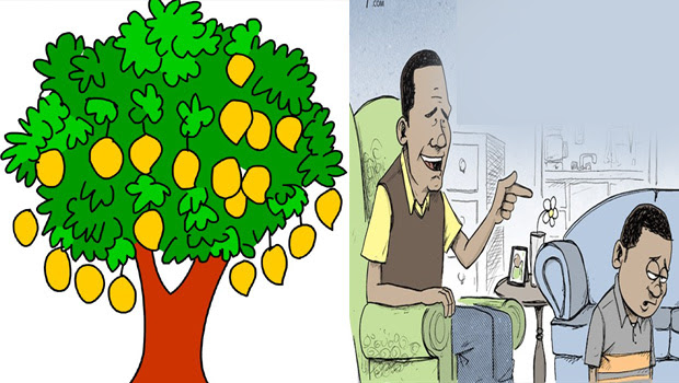 Featured image of post Cartoon Mango Tree Drawing - Tree drawing for kids drawings easy drawings cartoon trees tree clipart clip art cartoon tree drawing cartoon drawings.