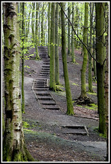 steps