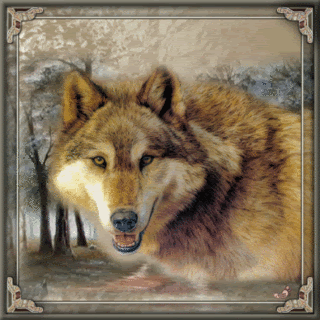 Animated Wolf Pictures, Images and Photos