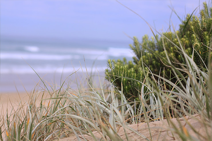 Venus Bay #3