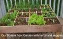 Planning Your Basic Herb Garden