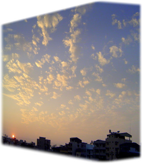 無限台南/20101117夕陽
