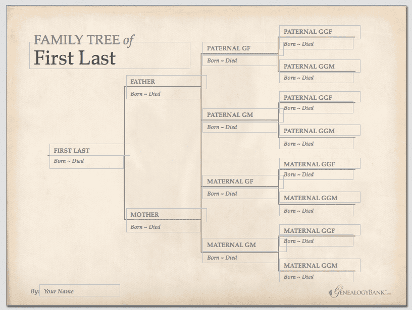 Family Tree Template Family Tree Template With Divorced Parents