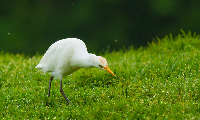 Photo & Video Sharing by SmugMug Photo & Video Sharing by SmugMug