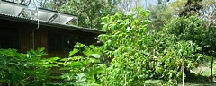 http://islandbreath.blogspot.com/2012/05/permaculture-design-diversity.html