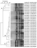 Thumbnail of Pulsed-field gel electrophoresis analysis of NotI-digested genomic DNA of blaNDM-1 harboring V. fluvialis isolates in study of diarrheal fecal samples from patients in Kolkata, India, May 2009–September 2013. In the dendrogram, 3 distinct clusters (A–C) formed on the basis of the band similarity. Isolate identification (ID) includes name of associated hospital: IDH, Infectious Diseases Hospital; BCH, B.C. Roy Memorial Hospital for Children. blaNDM-1, New Delhi metallo-β-lactamase. 