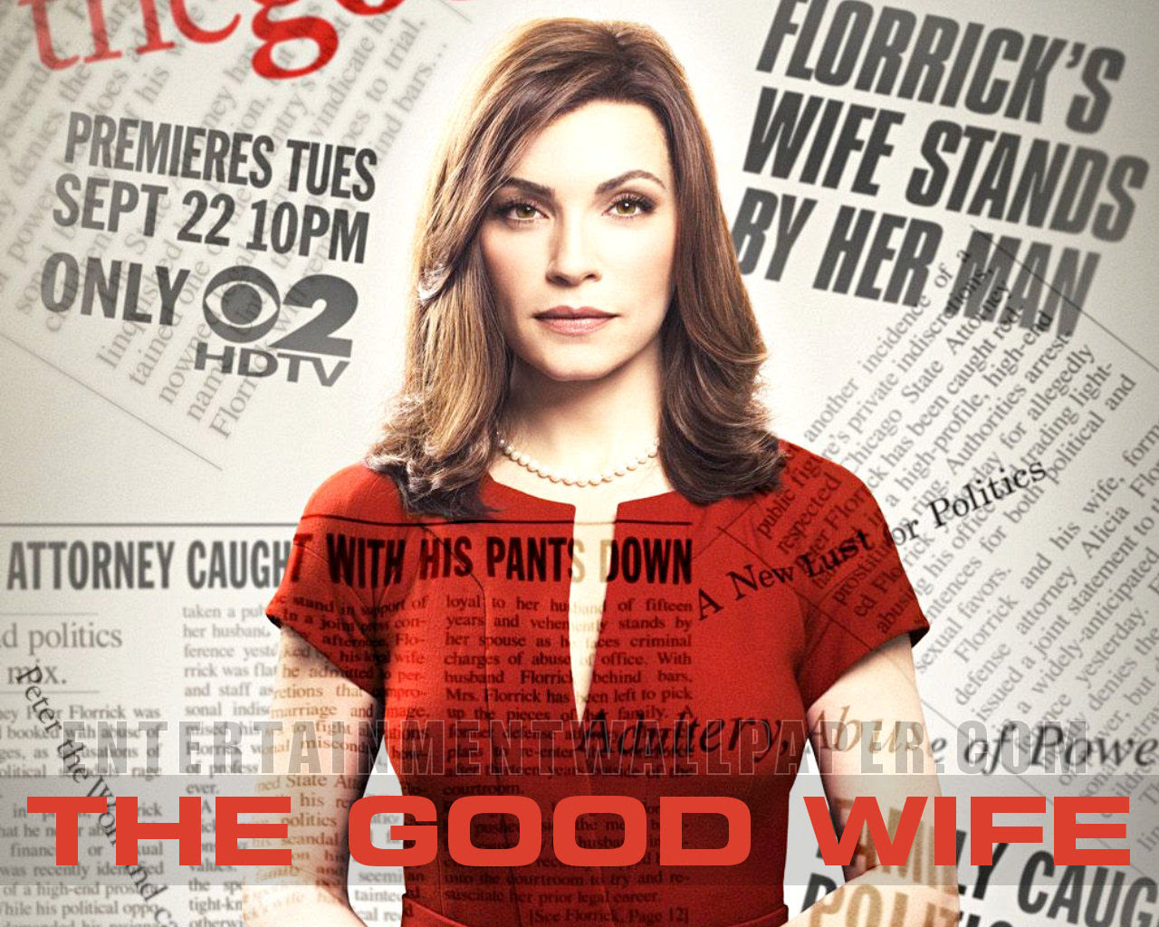 http://images4.fanpop.com/image/photos/24400000/The-Good-Wife-Wallpaper-the-good-wife-24455135-1280-1024.jpg
