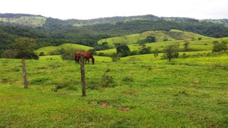 Vista da fazenda onde moram Sônia e Waldemar Fazenda onde moram Sônia e Waldemar. Aqui comemoramos os 90 anos de papai em 18.01.2014