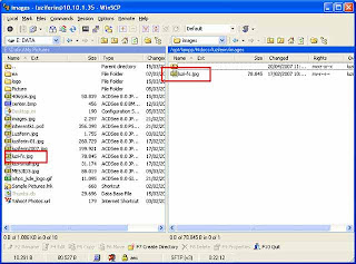 Beberapa waktu yang kemudian aku menginstal Apache Transfer File dari Windows XP ke Linux (Ubuntu)