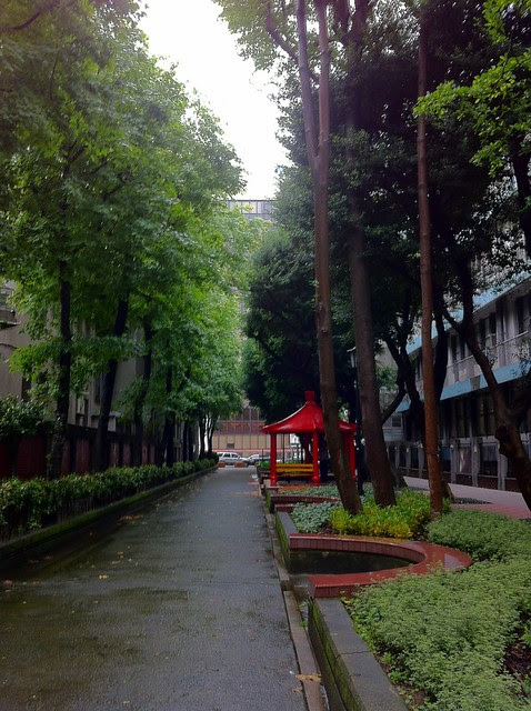 教廷大使館後面的公園