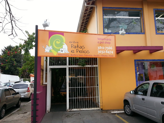 Entre Patas e Pelos