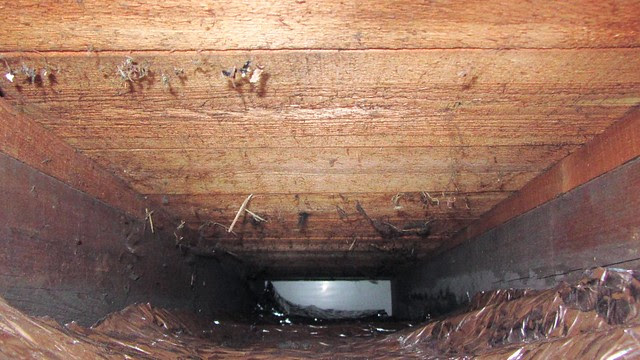 Retrofitting flat roof insulation IMG_0532