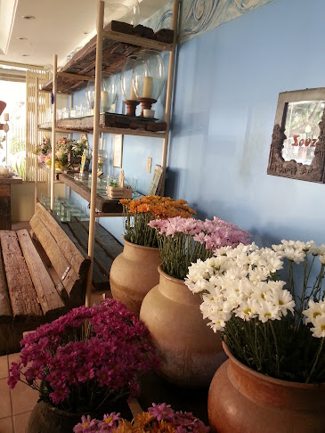 Avaliações sobre Souza Floricultura: Buquê de Flores, Cestas de Café da Manhã, Rosas, Meireles Fortaleza em Fortaleza - Floricultura