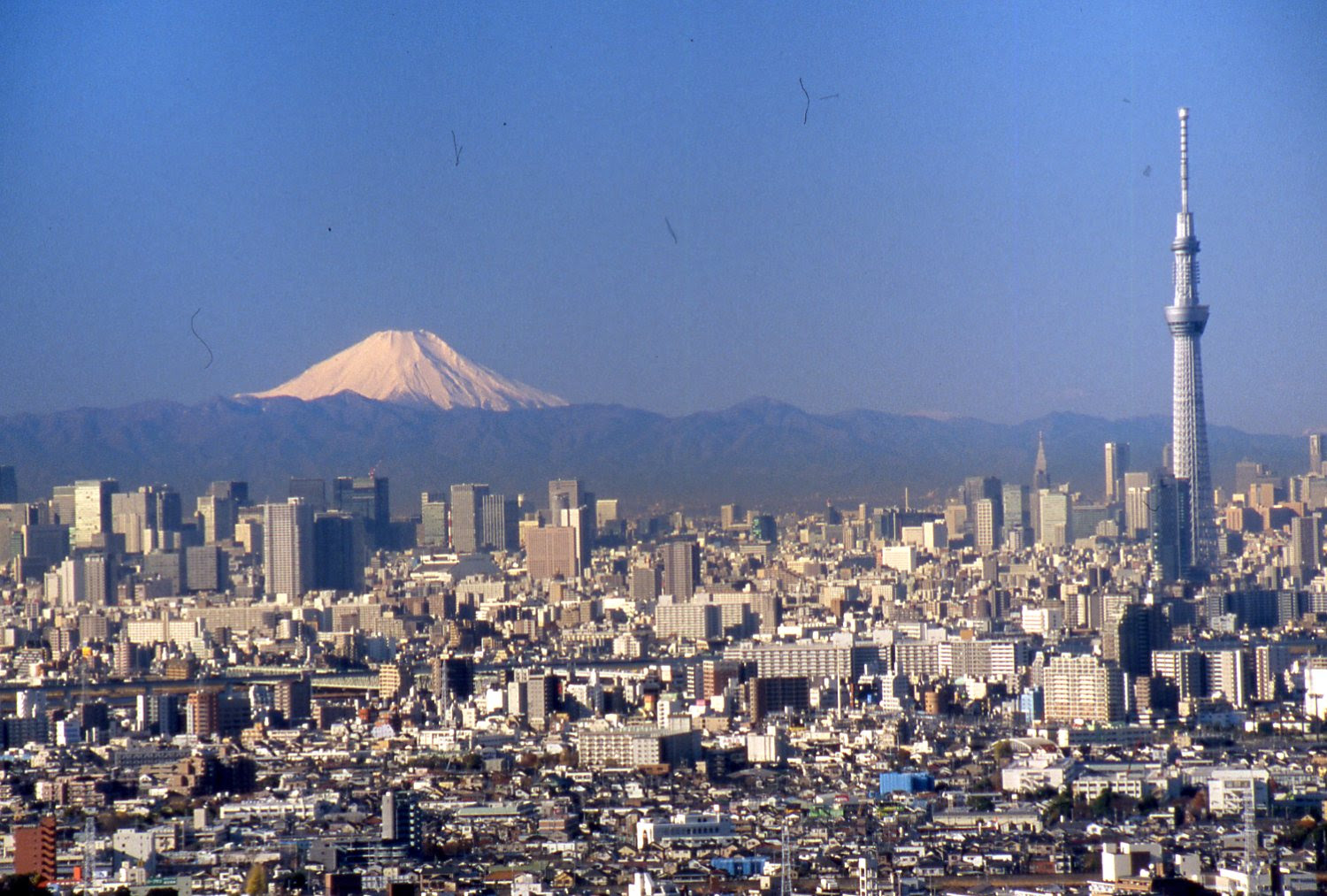 「富士山 東京」の画像検索結果