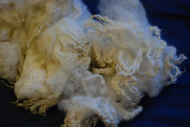 Longwool BFL x fleece locks