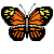Papillon ou beurre volant