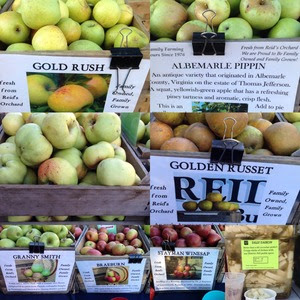 Reidapples Reidapples