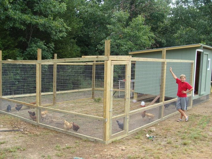 chicken coop with chickens: Building A Chicken Coop Extension