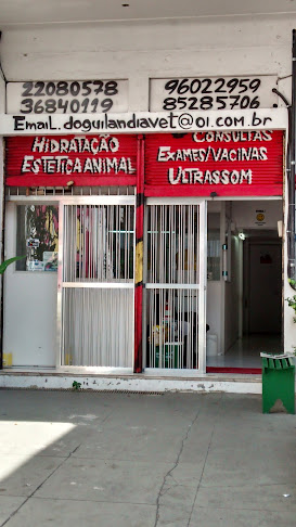 Doguilândia Veterinária - Rio de Janeiro