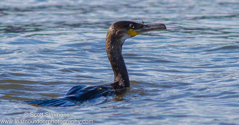Port Orange Causeway Park Port Orange Causeway Park