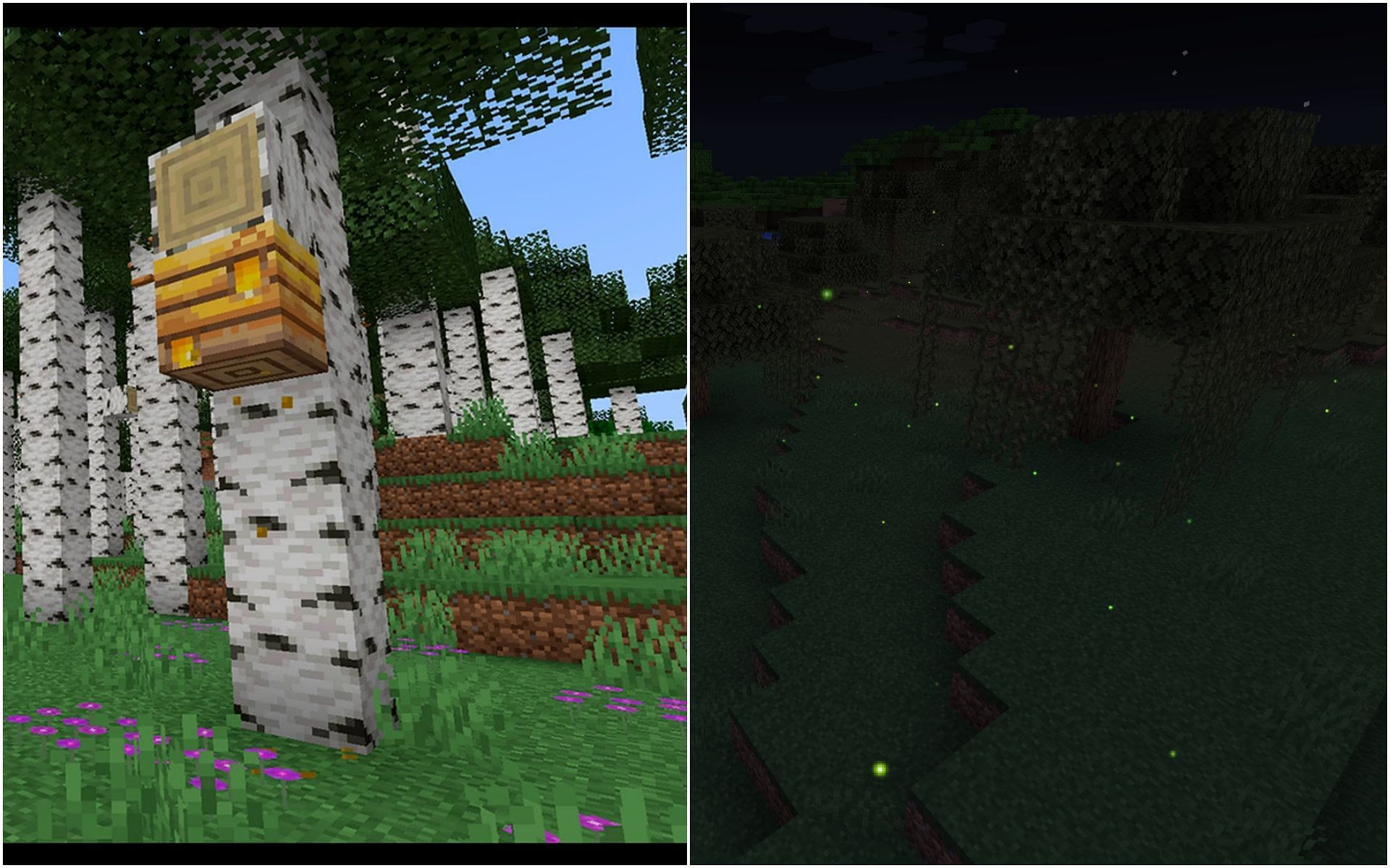 How to get Birch Forest and Fireflies custom mod for Minecraft?