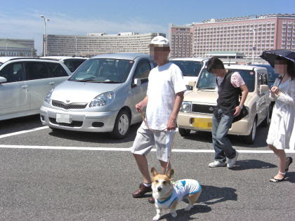 ぜいたくディズニー ブログ 犬 親子 最高の壁紙コレクション