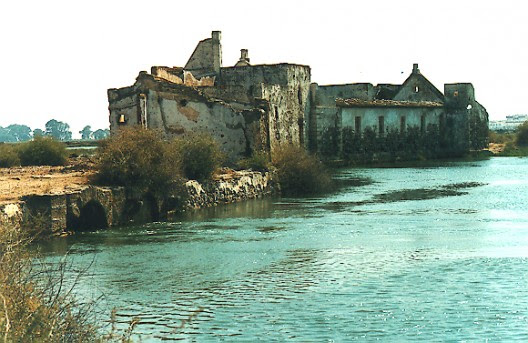 Original MOLINO4