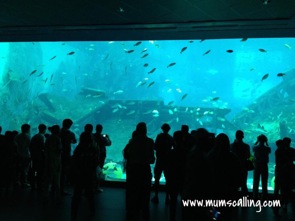 photo IMG_1799_zps4c52ceeb.jpg