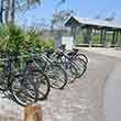 Bike Month Bicycles in a bike rack