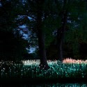 Impresionantes Bruce Munro Instalaciones LED iluminan los jardines de Longwood (11) Impresionantes Bruce Munro Instalaciones LED iluminan los jardines de Longwood (11) Cortesía de Bruce Munro