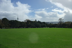 view from Auckland museum