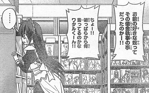 綺麗なハヤテ の ごとく 面白い 最高の動物画像