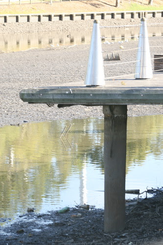 The River Torrens