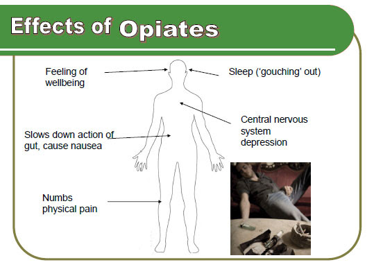Opiates2
