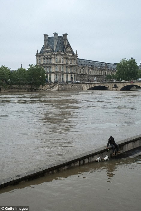 Red-alert: Parisians have been urged to avoid the banks of the river Seine which was expected to reach a peak of 19ft on Friday