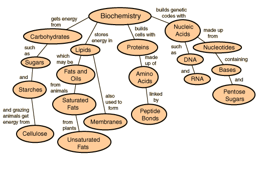 Organic Compounds Concept Map Review Answer Key