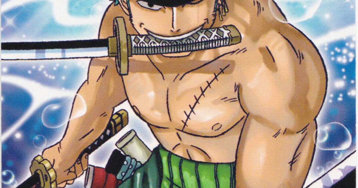 Neo Vongola Hitman Zone Chico Espada Roronoa Zoro One Piece