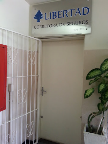 Avaliações sobre Libertad - Corretora de Seguros em Porto Alegre - Agência de seguros
